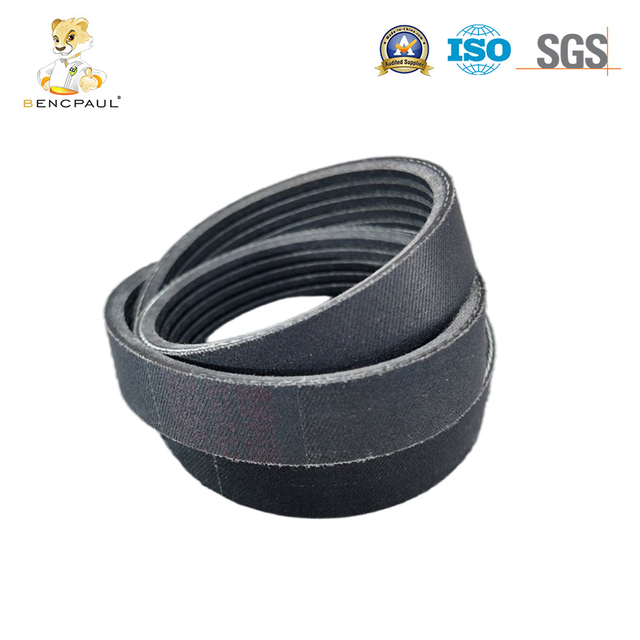 Serpentine Belt