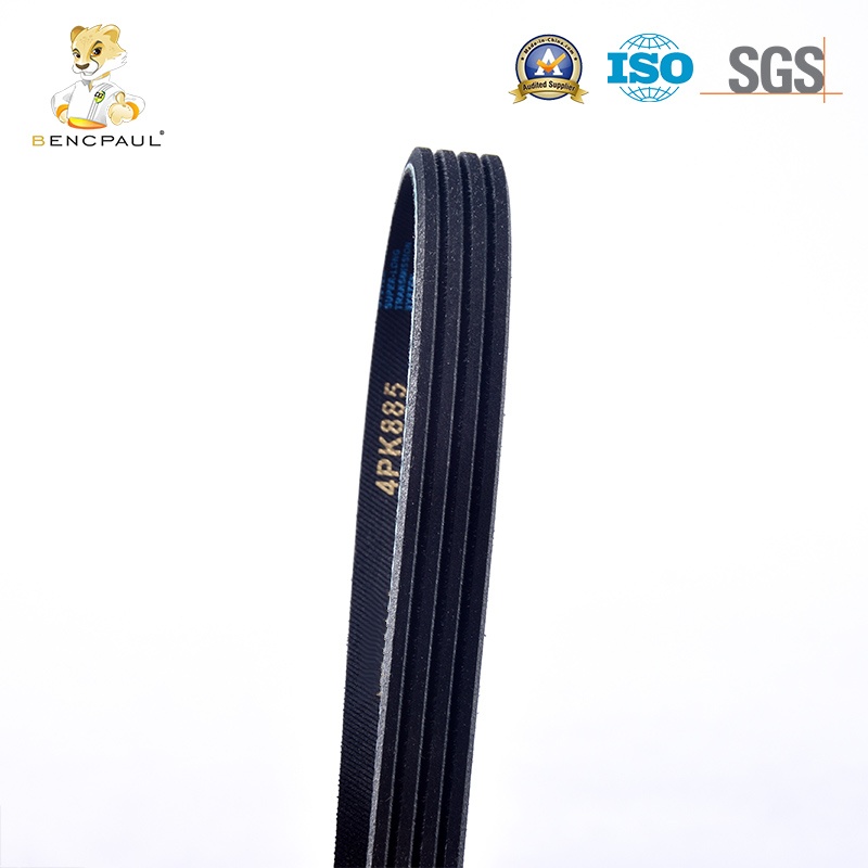 Automotive Belt