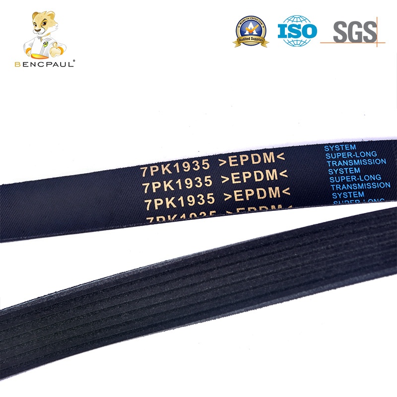 Commercial Vehicle Drive Belt