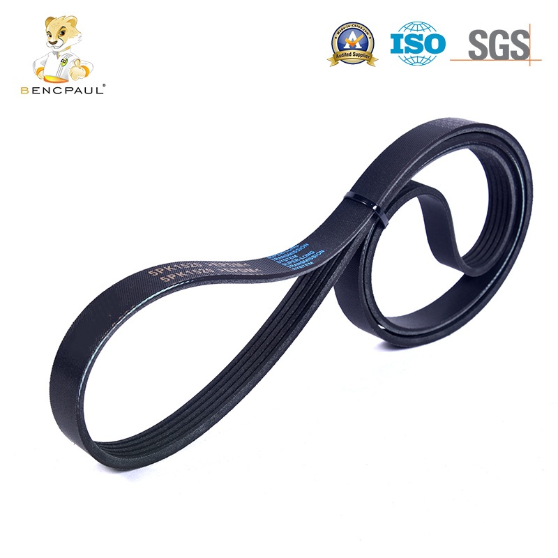 Car Serpentine Belt