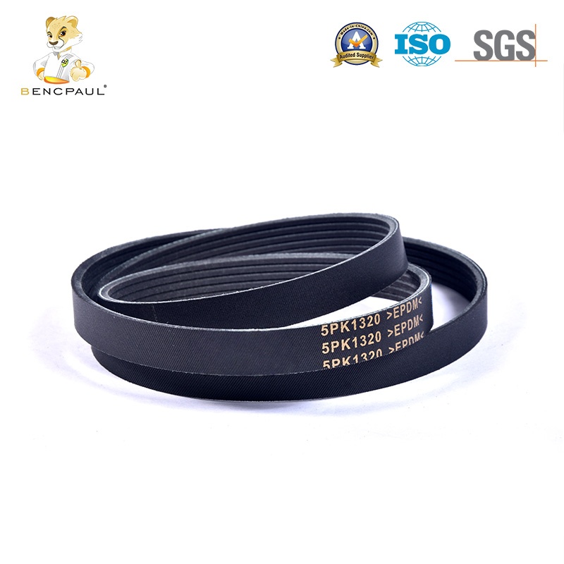 Poly V Drive Belt