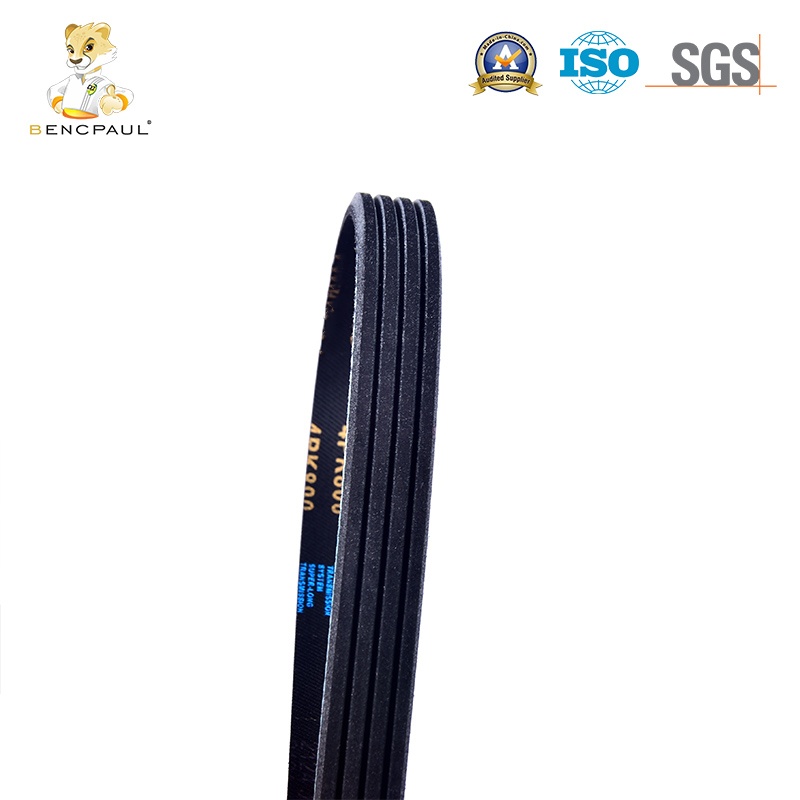 Automotive Drive Belt
