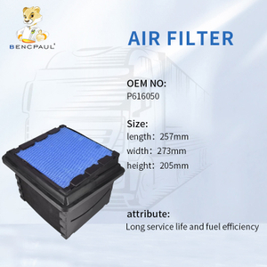 Air Filter P616050