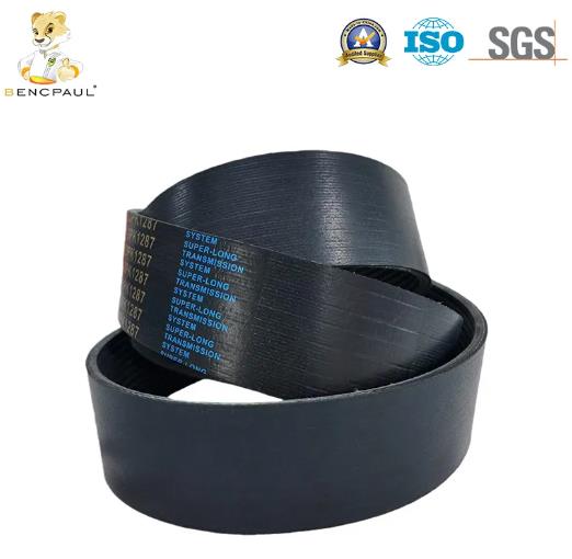 12PK610 Serpentine Belt.jpg