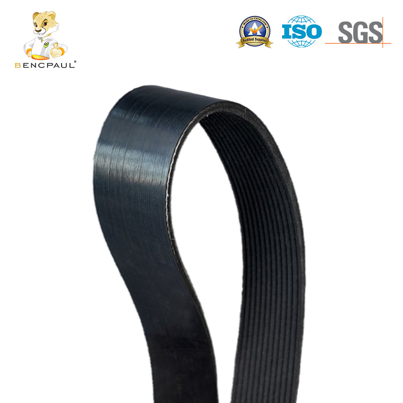 Poly V Serpentine Belt