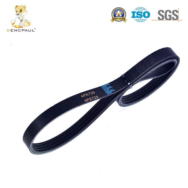 Engine Accessory Belt