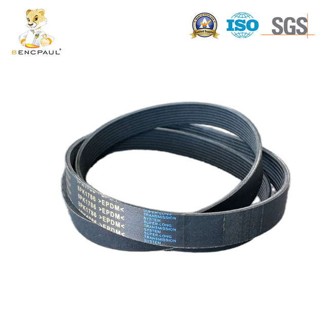 Serpentine Belt
