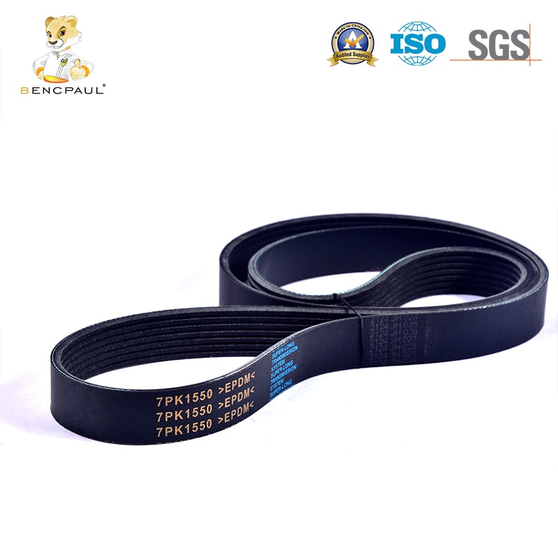 Commercial Vehicle Drive Belt
