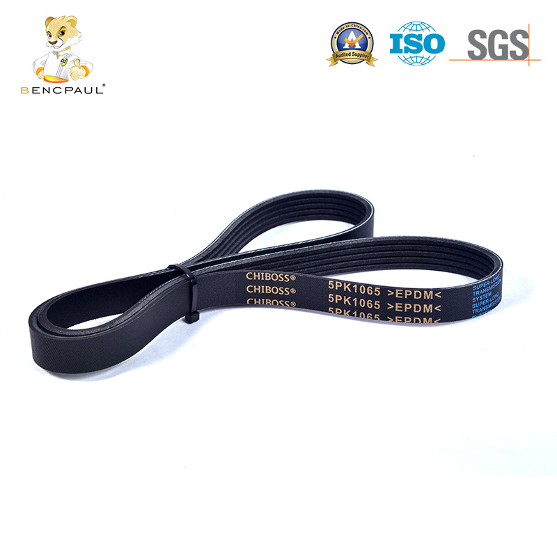 Drive Belt