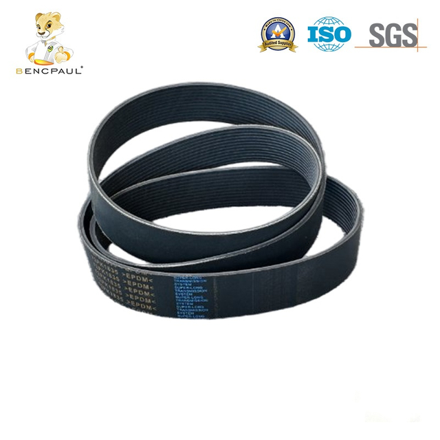 Serpentine Belt