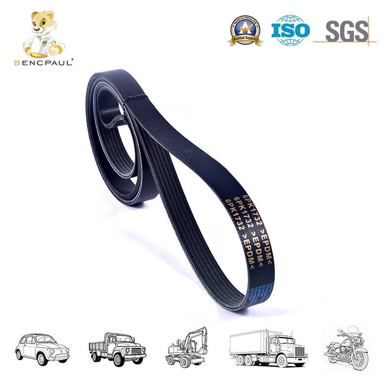 Serpentine Belt
