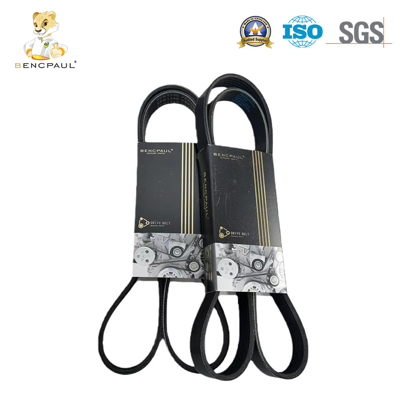 Serpentine Belt
