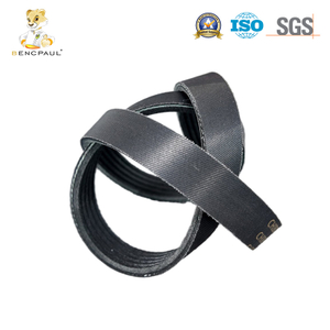 Ribbed Belt
